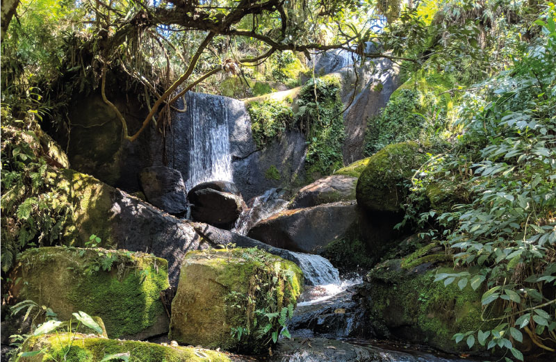 Trilhas e Cachoeira