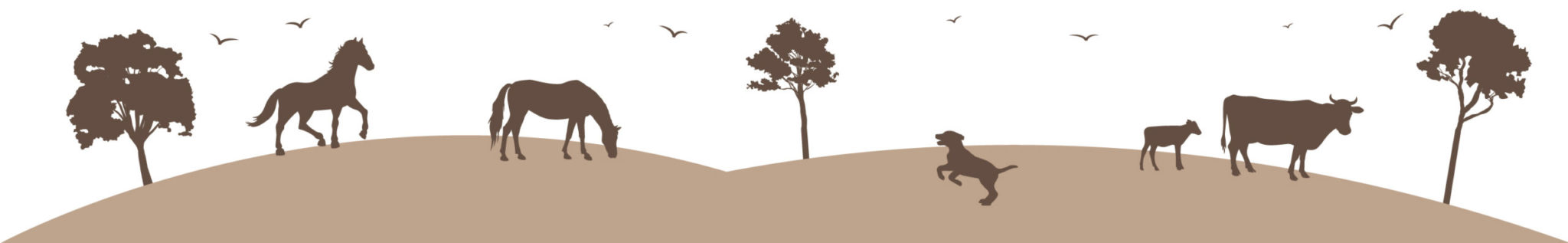 Mirante da Pedra de São Francisco